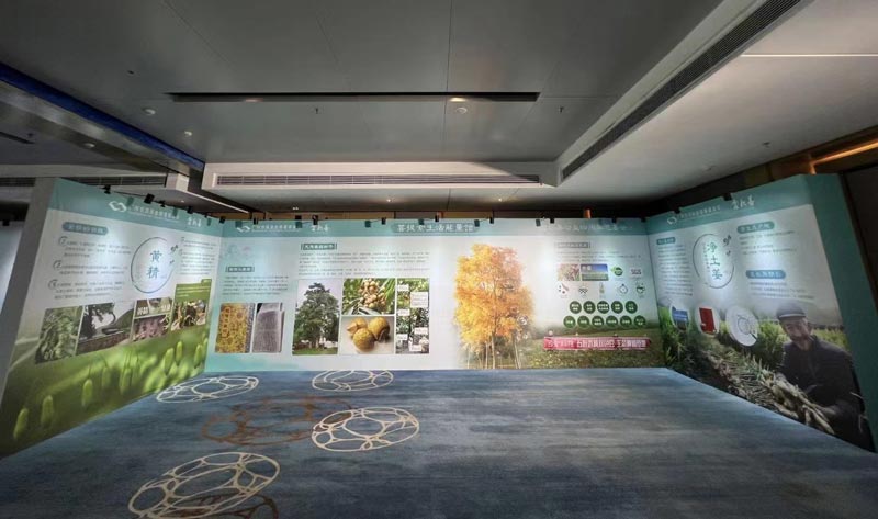 品牌全案策劃怎么寫-品牌營銷全案策劃的內容包括什么?